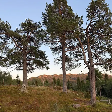 بيت للعطل Gorgeous In Vinje With Wifi Oyfjell