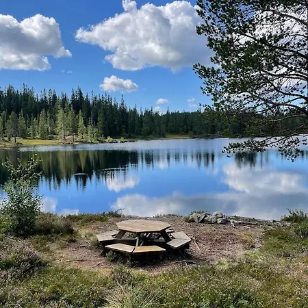 Gorgeous In Vinje With Wifi Oyfjell